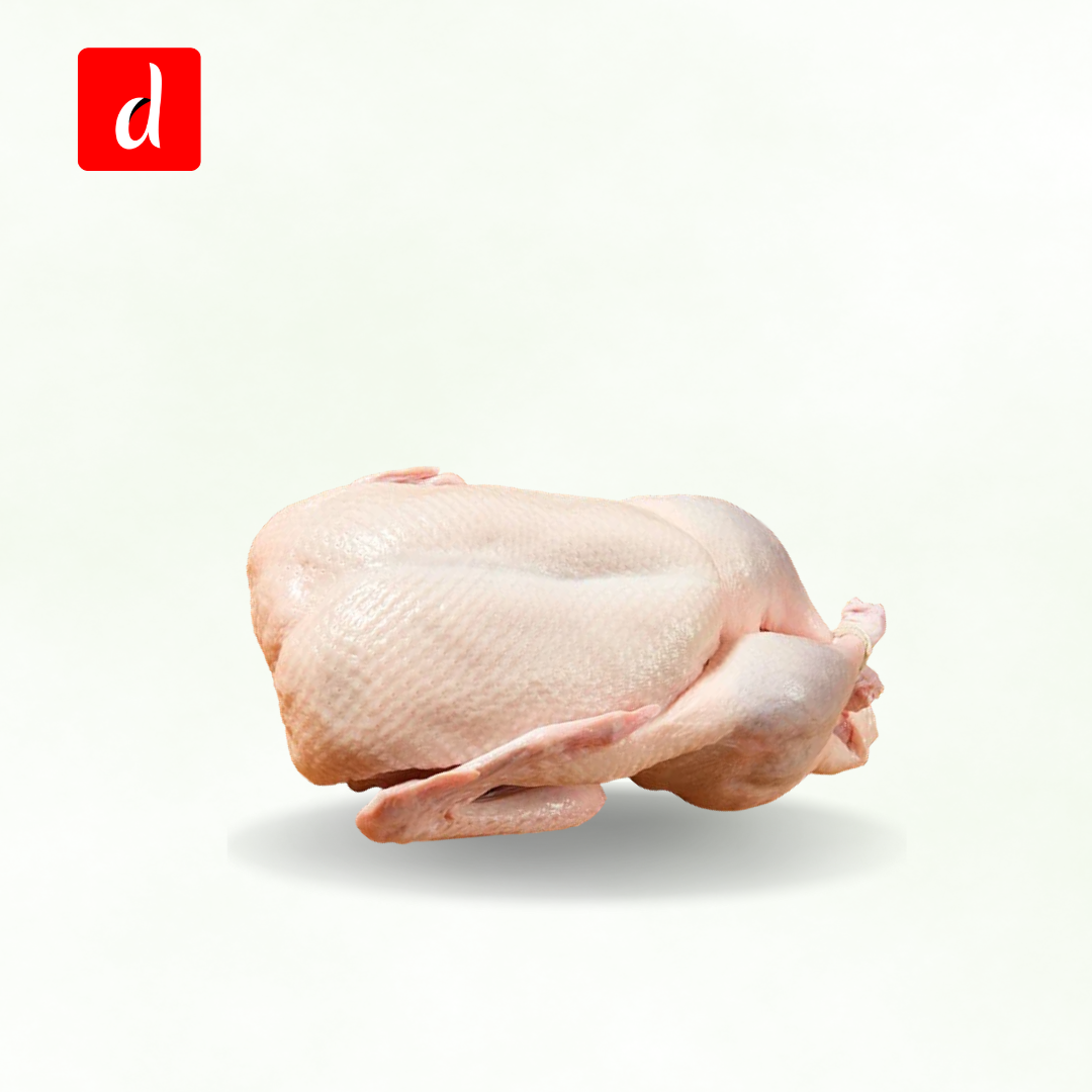 China Duck (চীনা হাঁস)