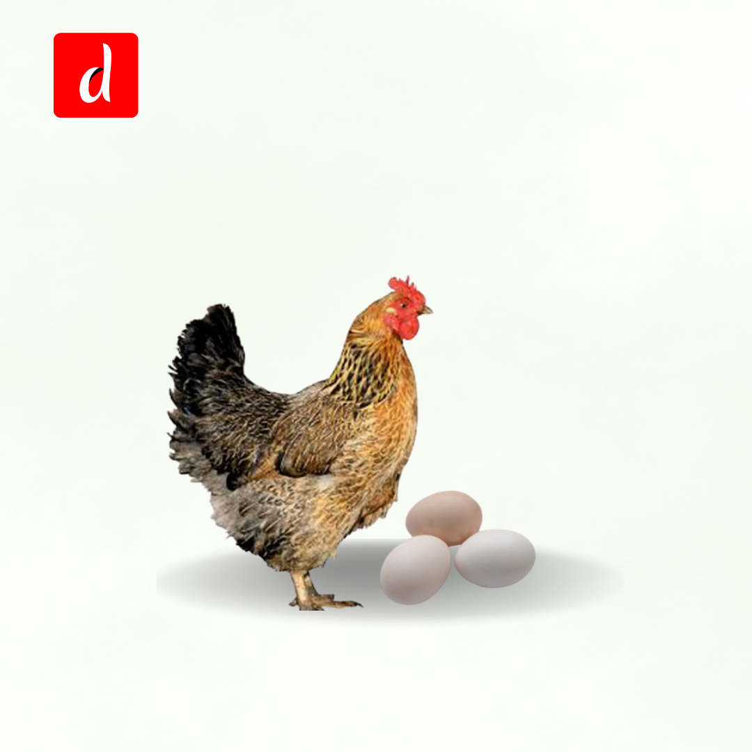 Deshi Chicken Egg (দেশি মুরগির ডিম)